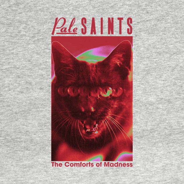 Pale Saints The Comforts of Madness by Moderate Rock